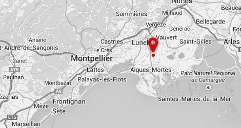 carte Camping fleur_de_camargue