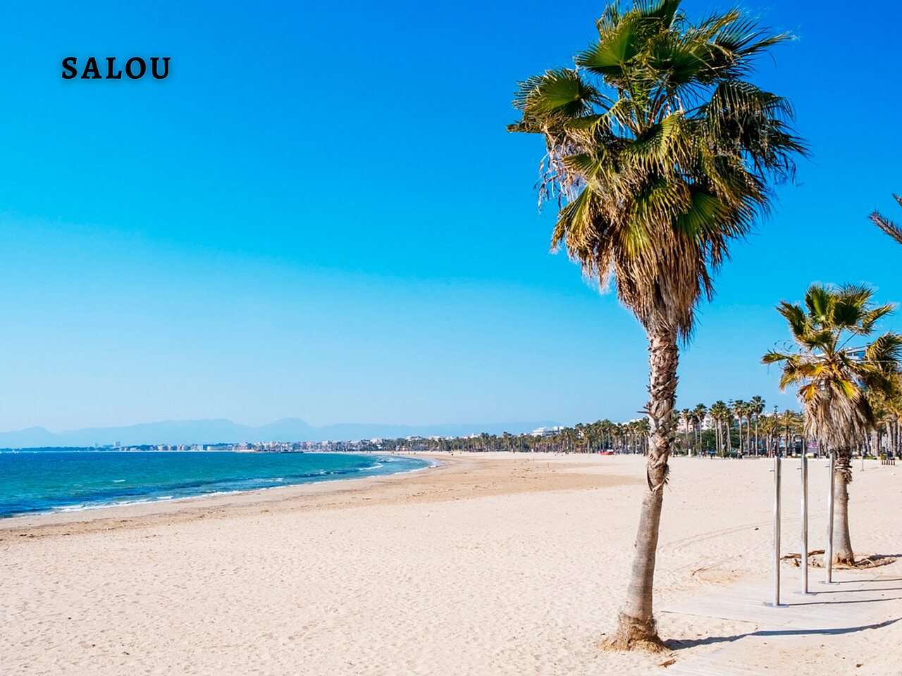 Plage de sable fin et palmiers � Salou, lieu � visiter pr�s du camping.
