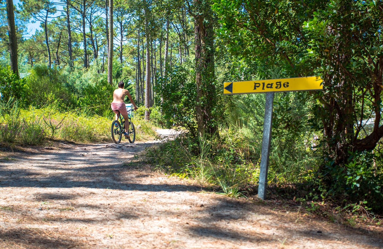 Cycliste naturiste sur chemin forestier vers la plage au camping LIBRANOO Naturiste Arnaoutchot � Veille-Saint-Girons, Landes, France.