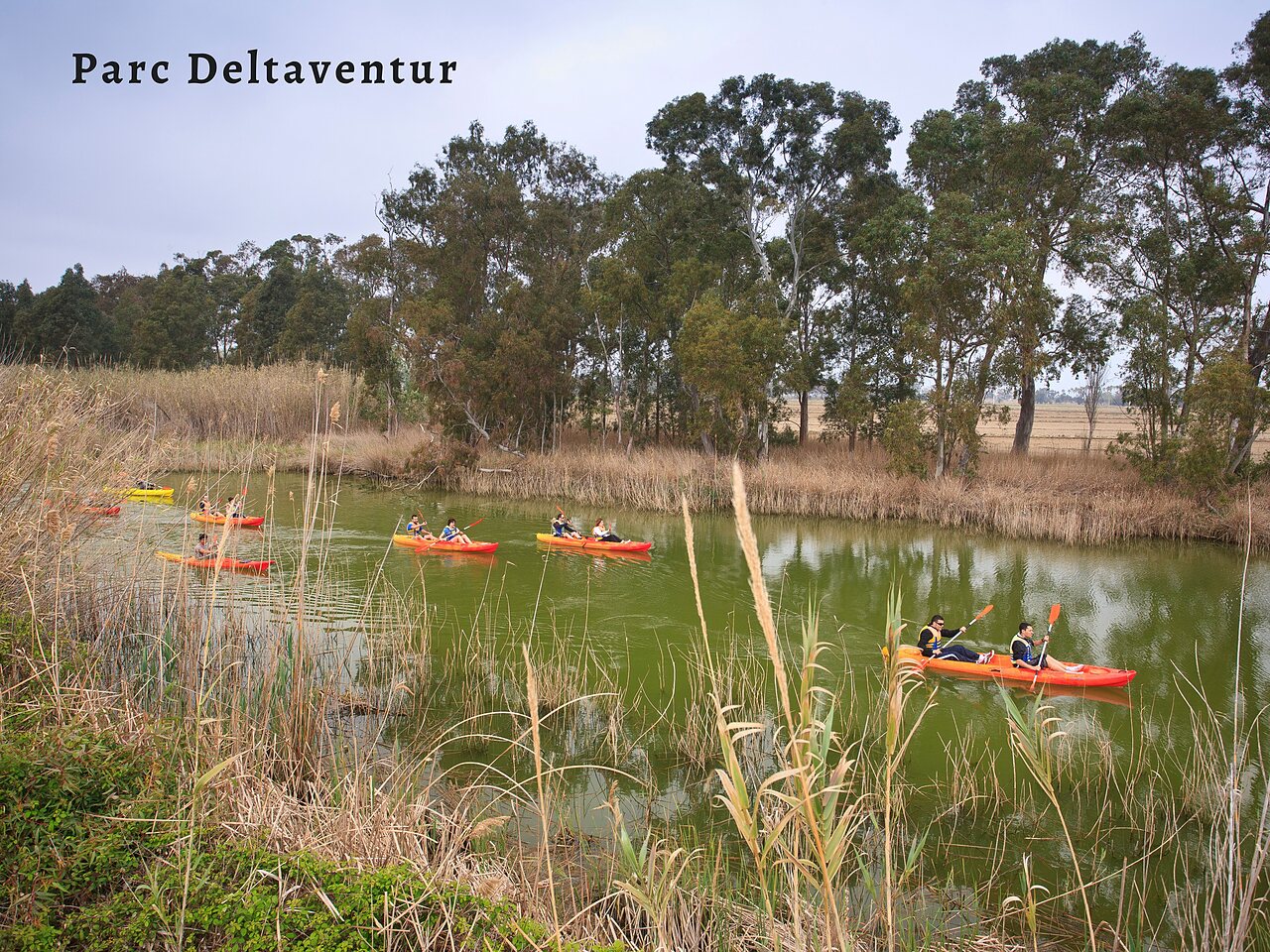 Kayak sur le canal du Parc Deltaventur, activit� pr�s de Deltebre, Tarragone.