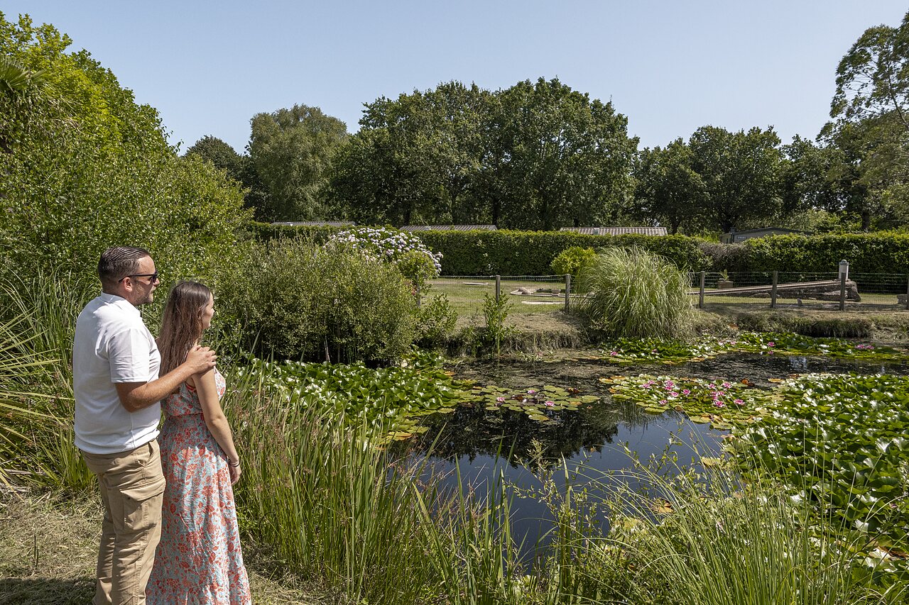 �tang naturel, n�nuphars, couple au camping CLICOCHIC Baie de Douarnenez � Poullan-sur-Mer.