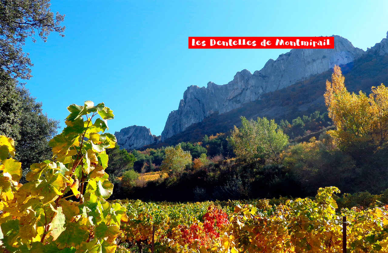 Dentelles de Montmirail, vignobles aux couleurs automnales en Provence, Vaucluse.