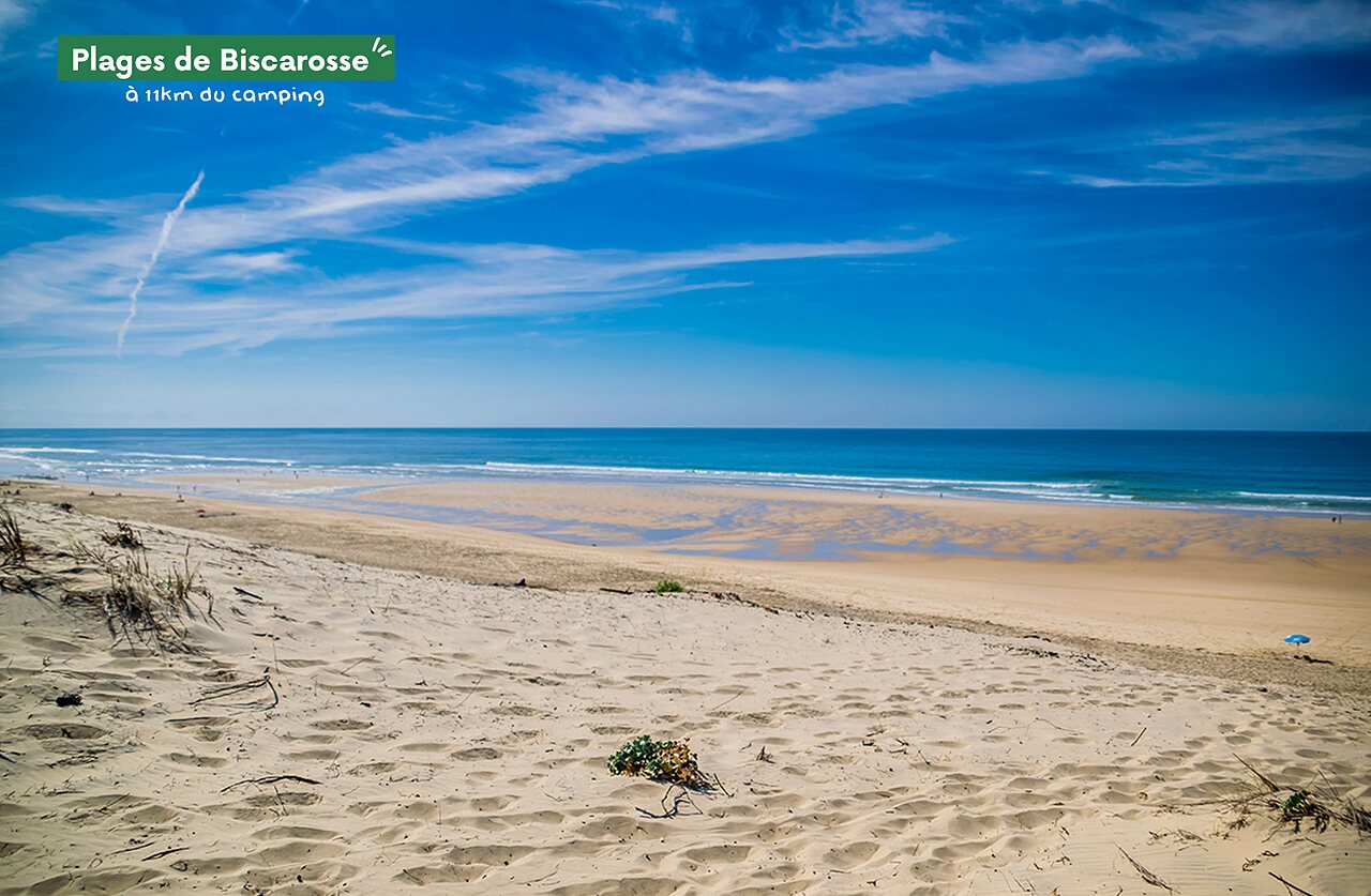 Plages de sable fin de Biscarrosse, destination touristique proche du camping.