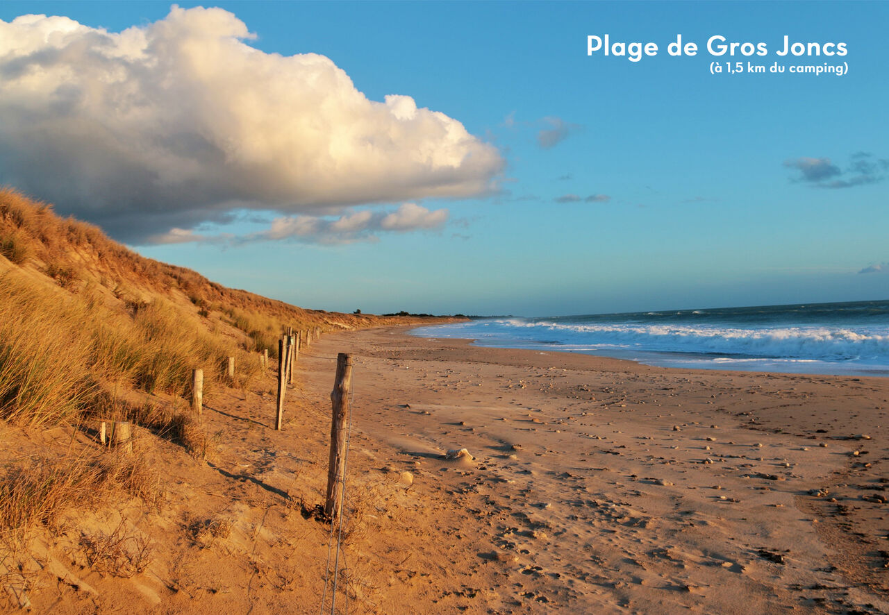 Plage de Gros Joncs, une belle plage de sable fin avec dunes et oc�an.