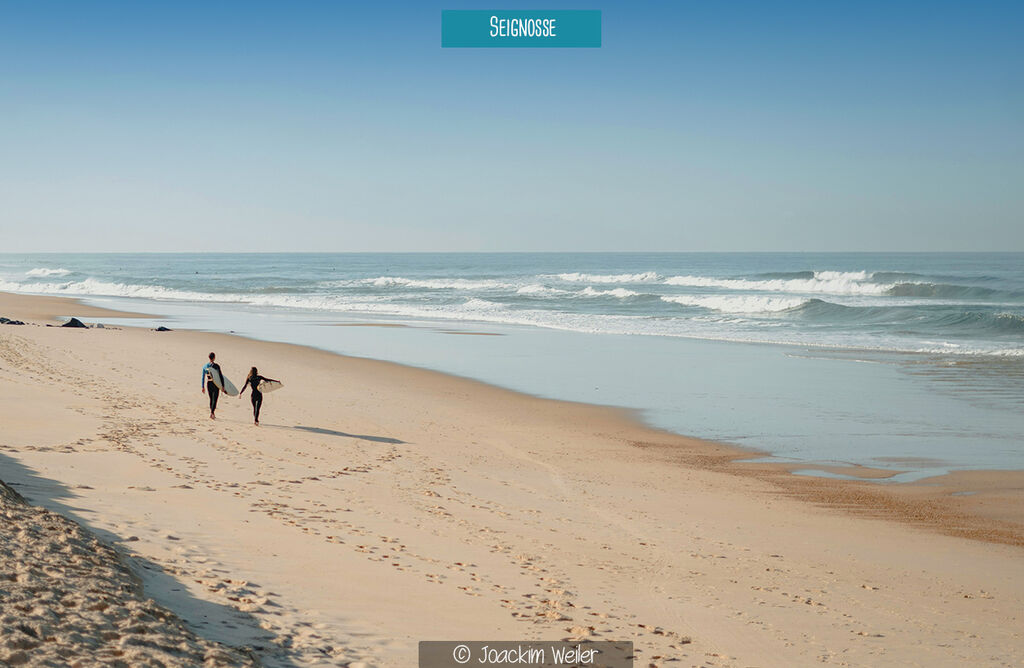 Boudigau, Camping Aquitaine - 15