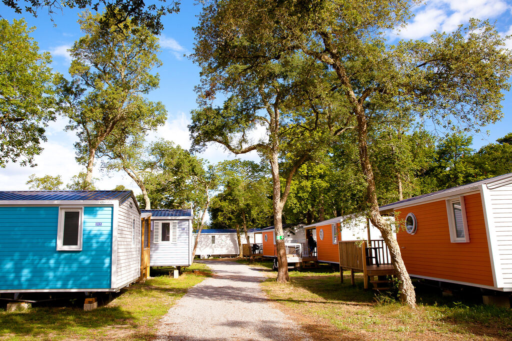 Boudigau, Camping Aquitaine - 31
