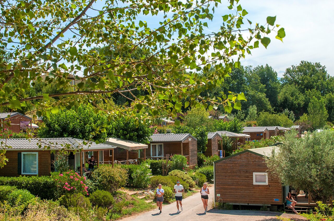 Mobil-homes en bois, v�g�tation luxuriante et joggeurs au camping CAPFUN Carpe Diem � VAISON LA ROMAINE (84).