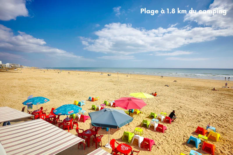 Camping Les Chouans, Camping Pays de la Loire - 3