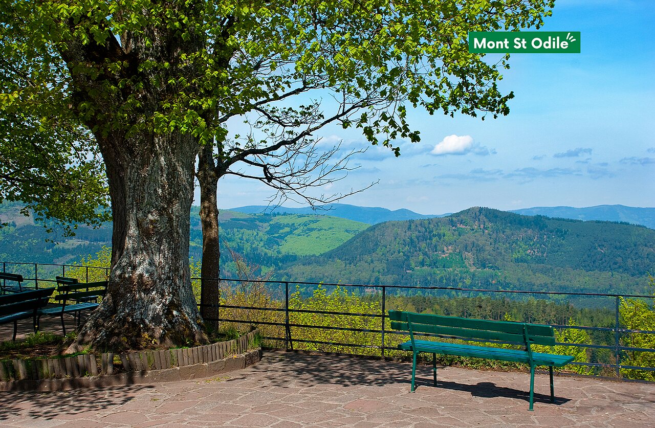 Vue panoramique sur les Vosges depuis le Mont Sainte-Odile en Alsace.