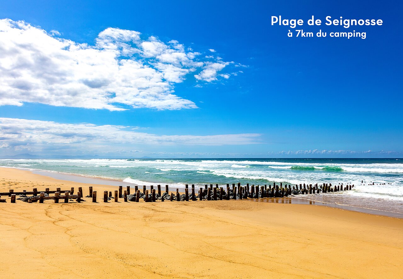 Plage de Seignosse, sable fin, oc�an Atlantique et brise-lames en bois, Landes.