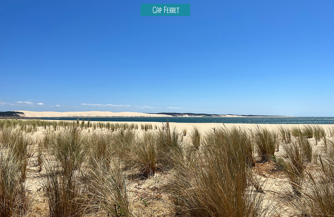 Plage sauvage et dunes du Cap Ferret, lieu � visiter pr�s du camping.
