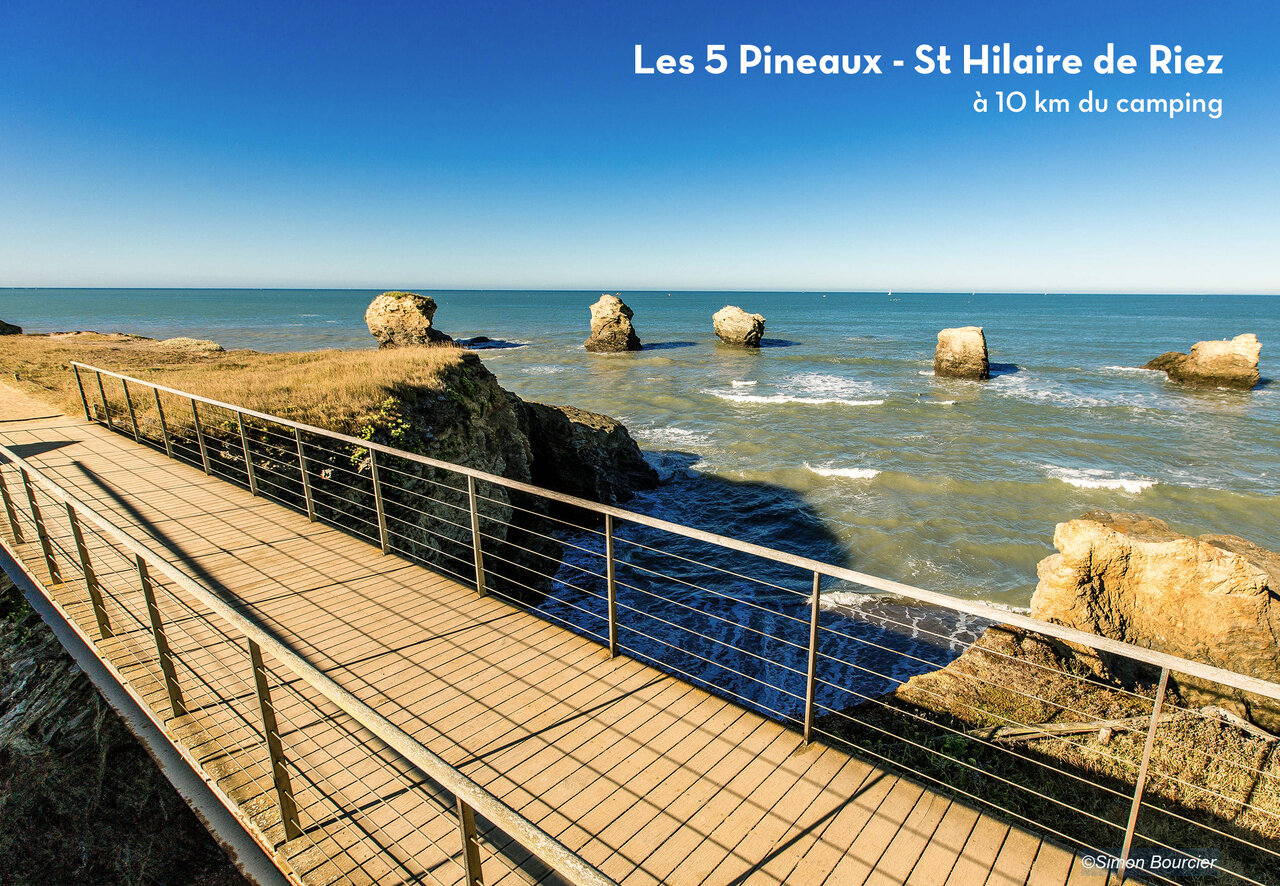 Les 5 Pineaux, formations rocheuses embl�matiques � St Hilaire de Riez, � visiter.