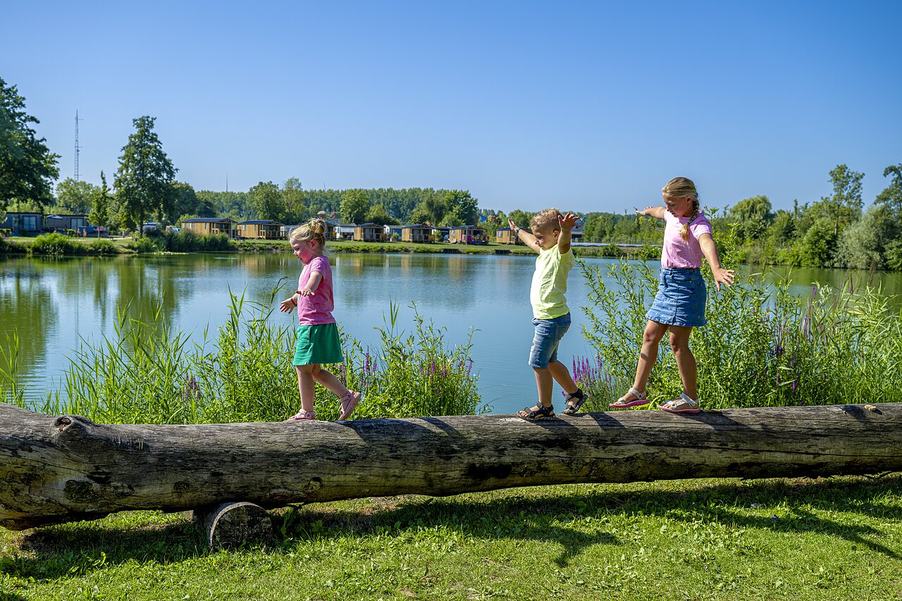 Enfants jouant � l'�quilibre sur une b�che pr�s du lac au camping CAPFUN De Rotonde � Enspijk.