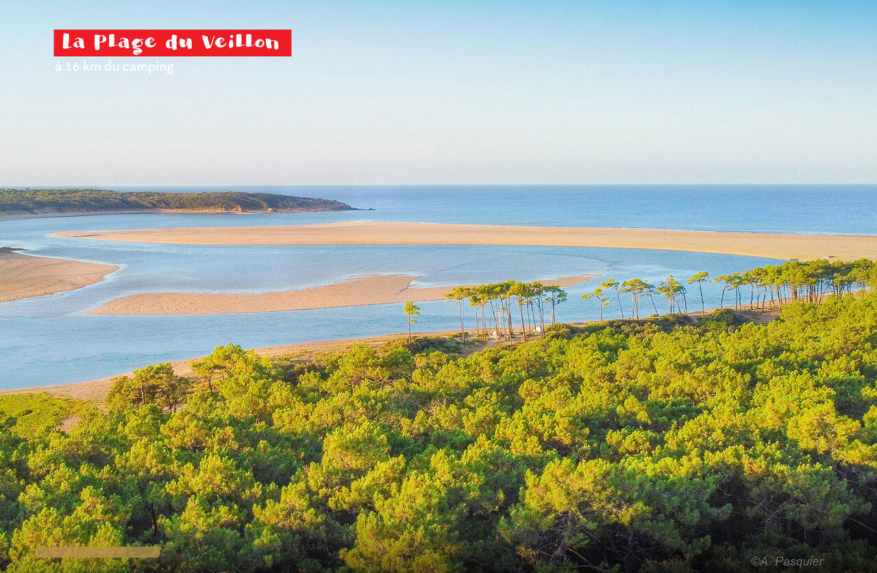 Plage du Veillon, une magnifique �tendue de sable pr�s de Jard sur Mer.
