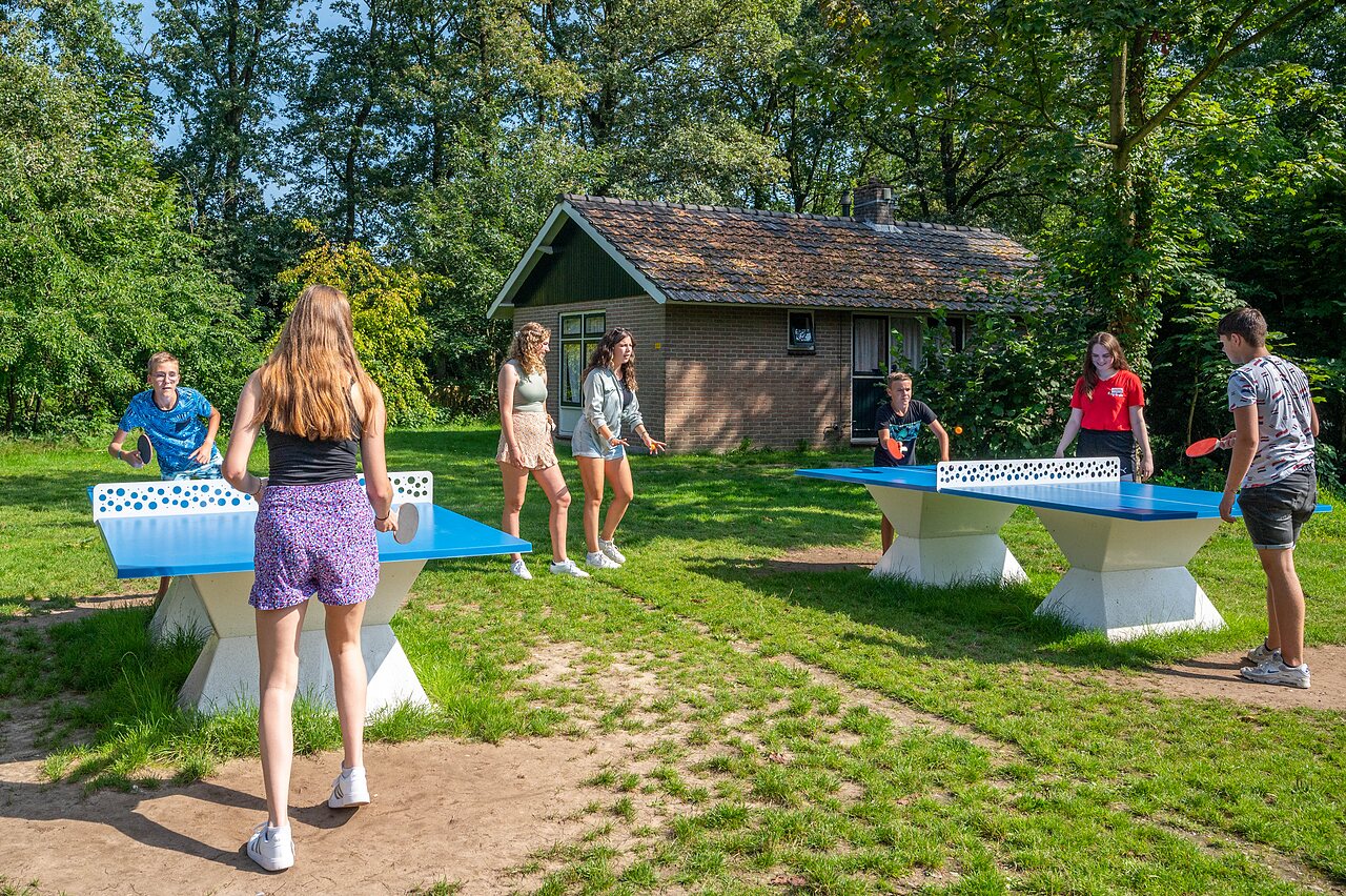 Jeunes jouant au tennis de table ext�rieur au camping CAPFUN Eibernest � Eibergen.