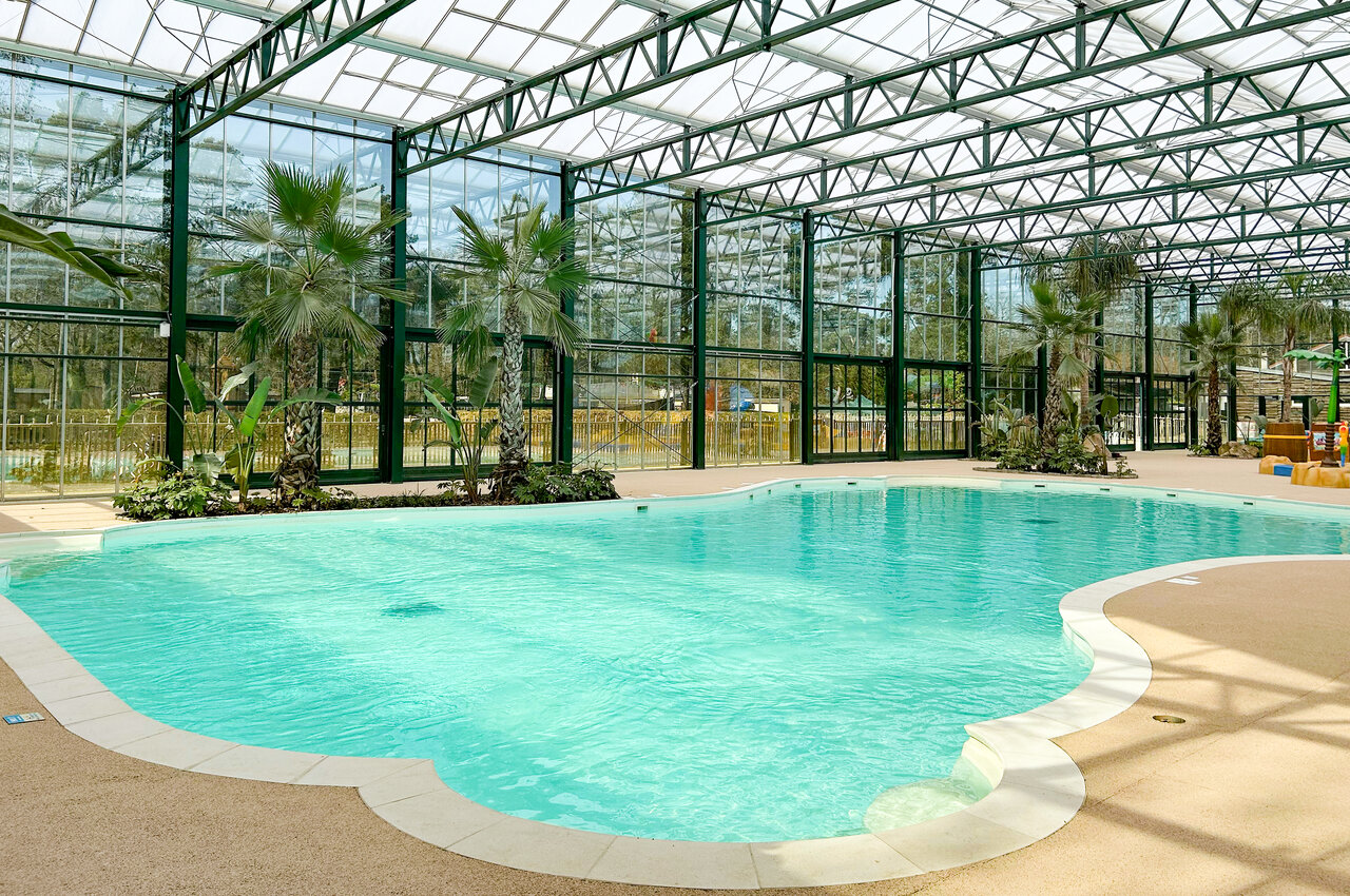 Heated indoor pool, palm trees, CLICOCHIC La For�t d'Azal�e campsite Saint-Ch�ron (91).