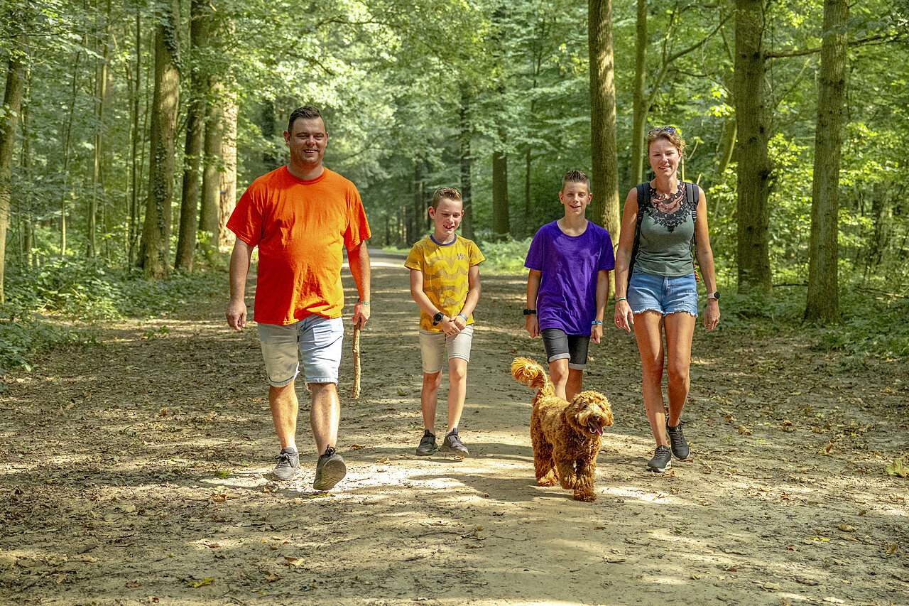 Famille avec chien en promenade sur un sentier forestier au camping CAPFUN De Fruithof � Klijndijk.