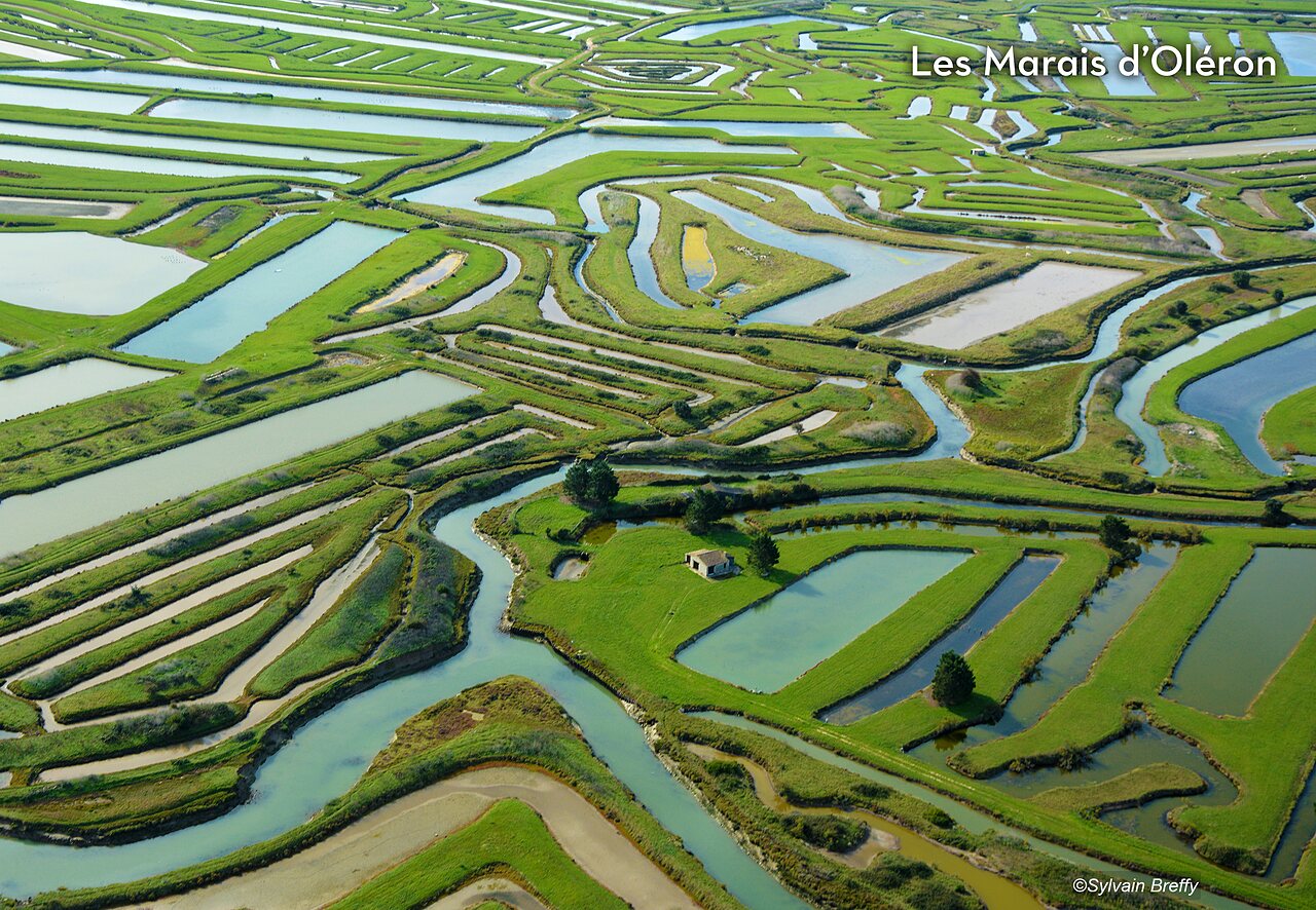 Marais d'Ol�ron vus du ciel, un paysage unique � d�couvrir pr�s de Saint-Georges-d'Ol�ron.