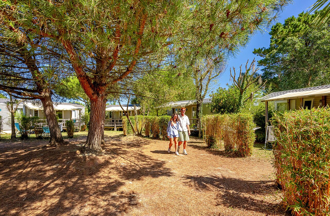Mobil-homes et pins au camping VAGUES OCEANES Grosses Pierres � Saint-Georges-d'Ol�ron (17).