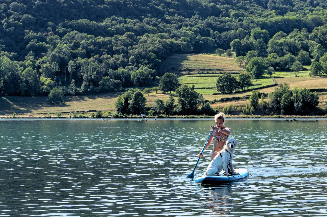 Femme et chien sur paddleboard, lac. Au camping CLICOCHIC Lac du Lit du Roi.