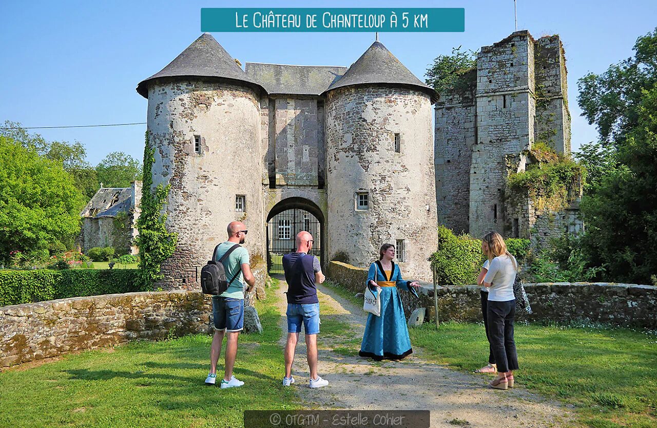 Ch�teau de Chantaloup, monument historique m�di�val � d�couvrir pr�s du camping.