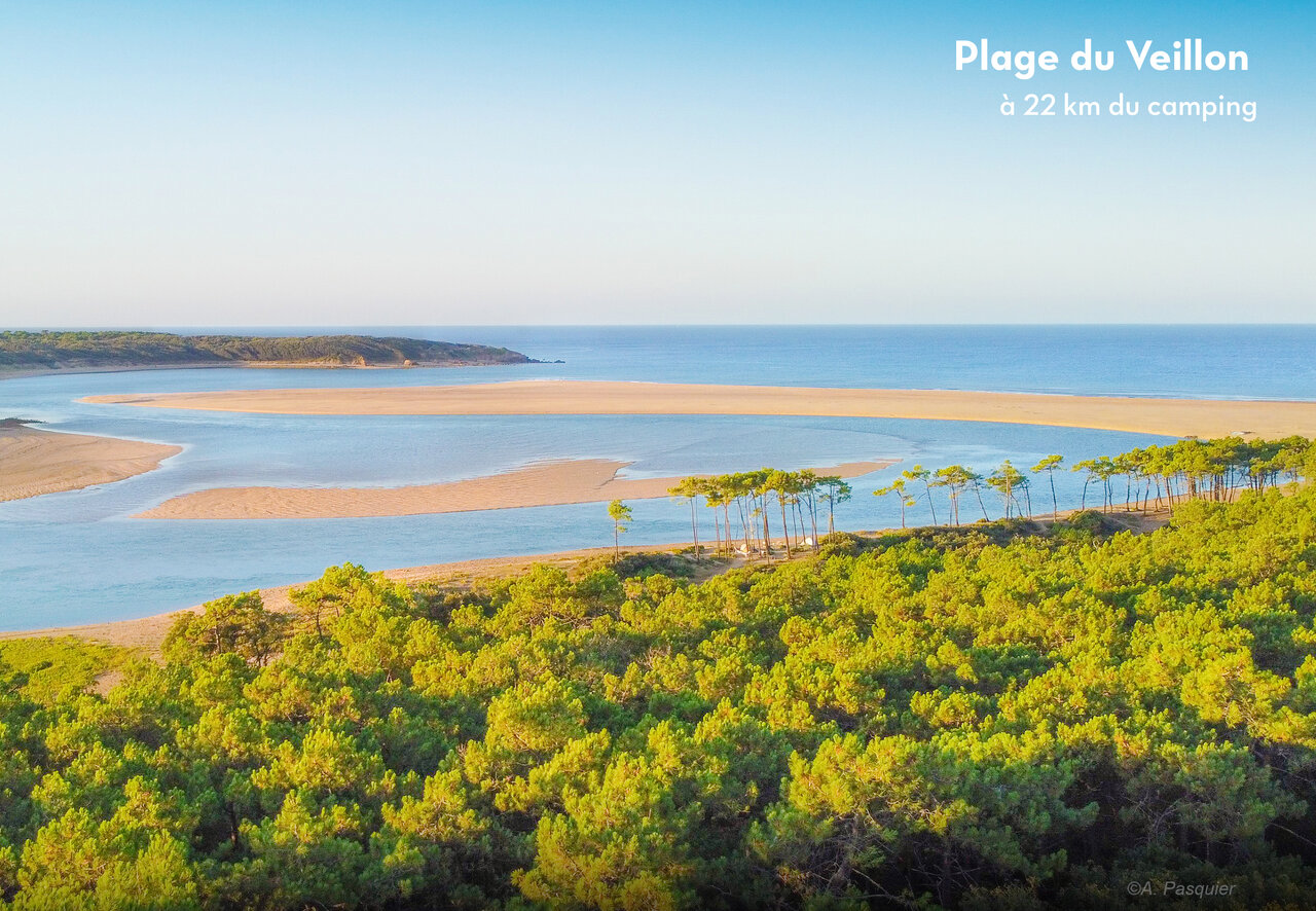 Plage du Veillon, estuaire et for�t de pins pr�s des Sables d'Olonne.