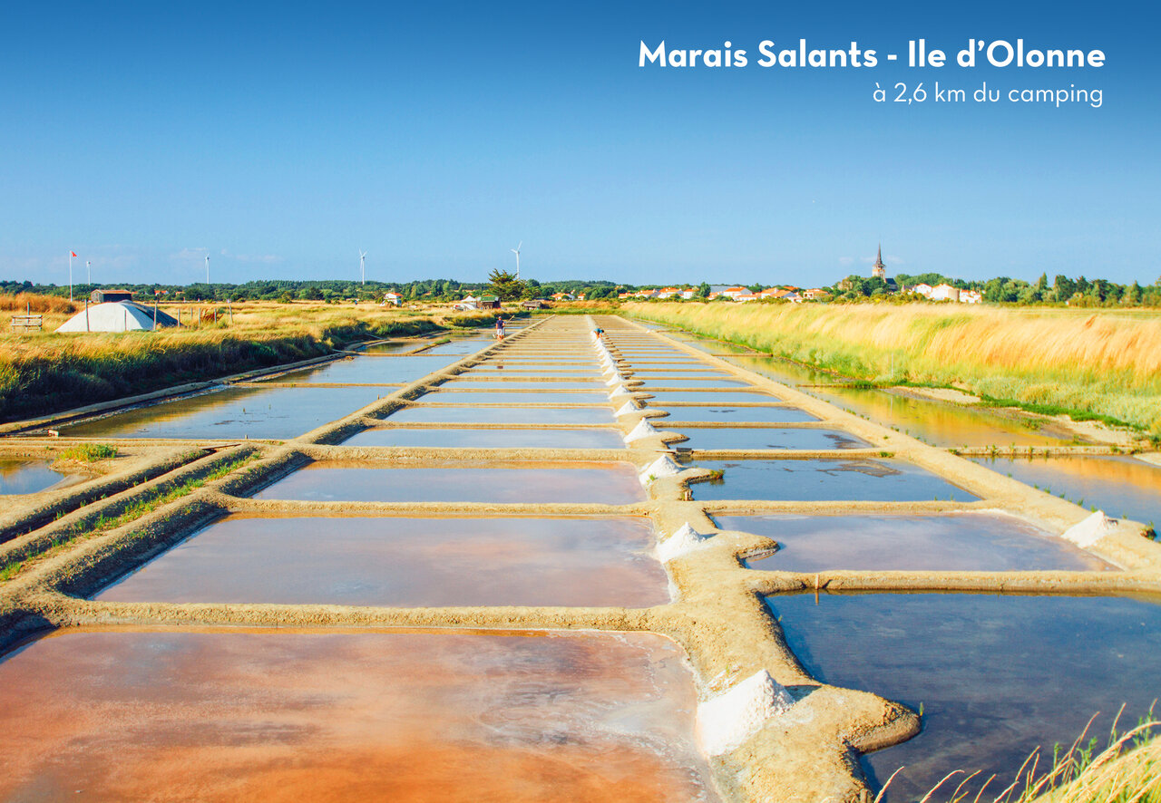 Marais Salants de l'Ile d'Olonne, lieu � visiter pr�s des Sables d'Olonne.