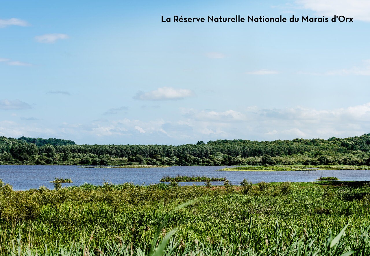 R�serve Naturelle Nationale du Marais d'Orx, un lieu naturel � visiter en Nouvelle-Aquitaine.