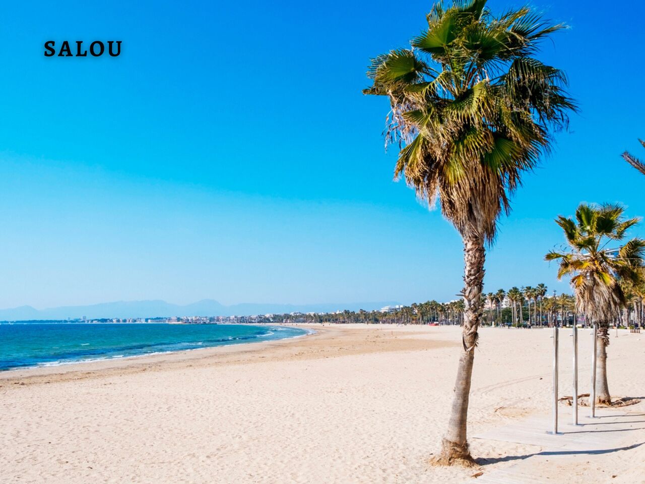 Plage de Salou avec palmiers, un lieu � visiter pr�s du camping.