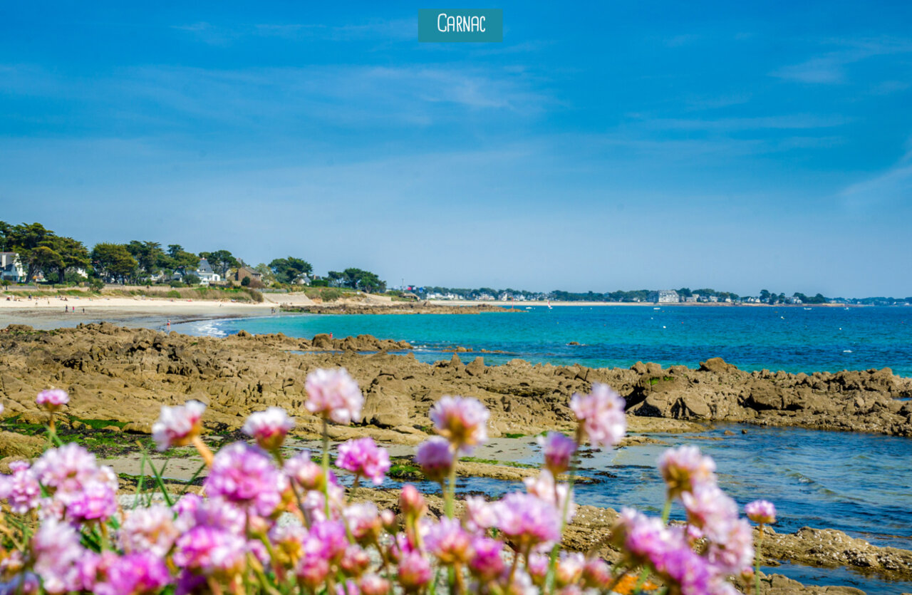 Plage de sable fin et mer turquoise � Carnac, Morbihan.