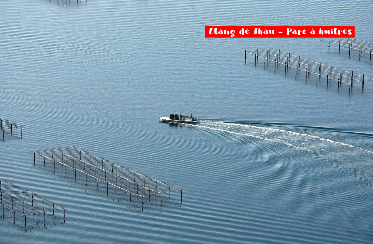 �tang de Thau et parc � hu�tres avec bateau, lieu � visiter pr�s de S�te.