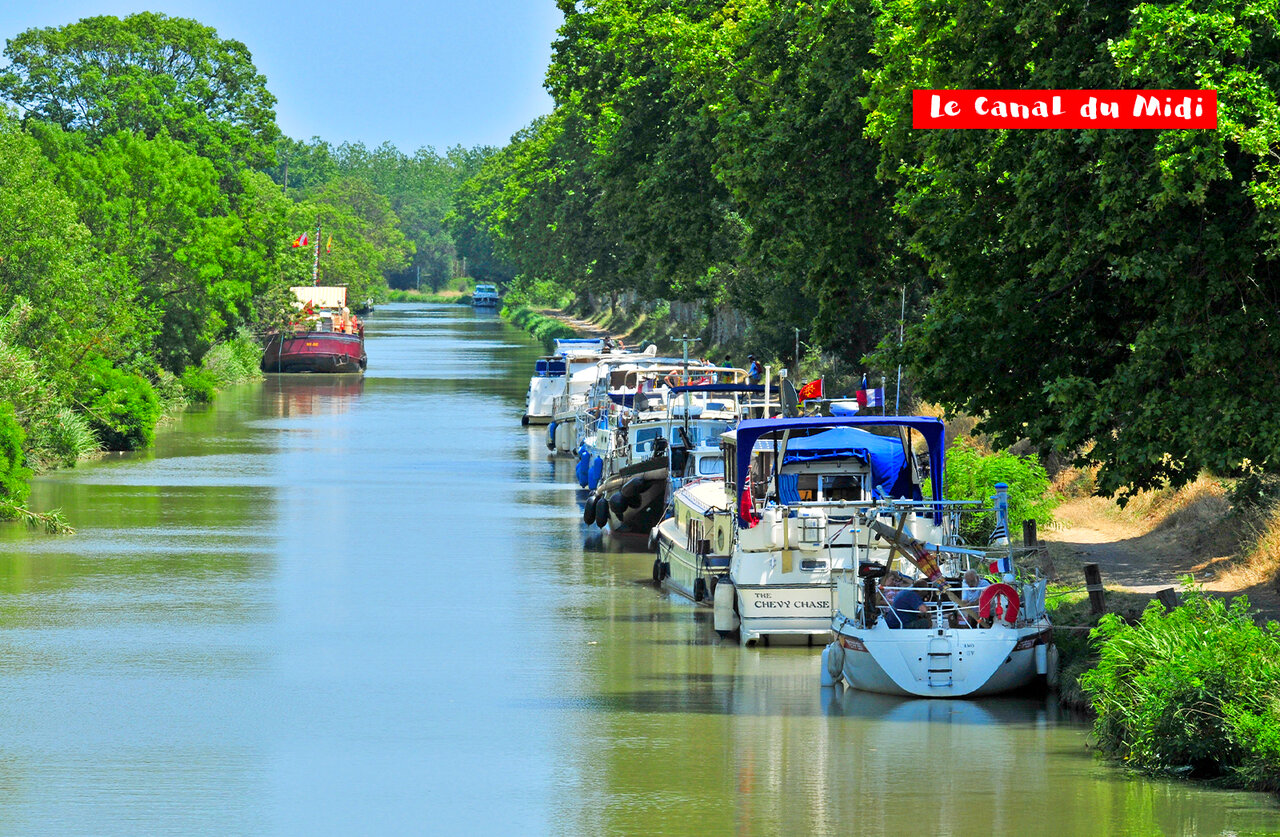 Bateaux amarr�s sur le Canal du Midi, lieu touristique � visiter pr�s du camping.