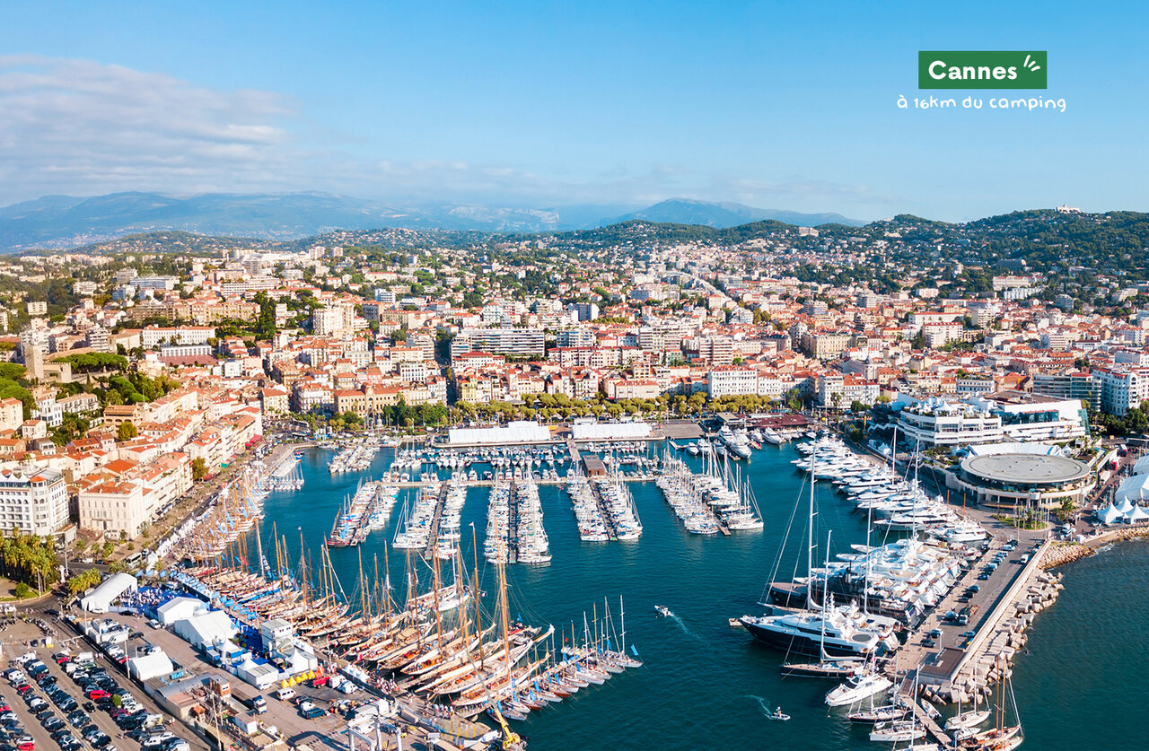Port de plaisance de Cannes avec yachts et voiliers, � visiter pr�s du camping.