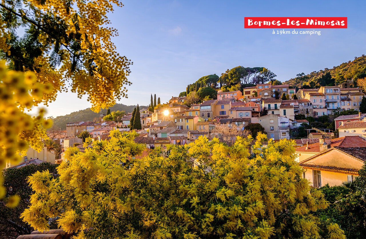 Village fleuri de Bormes-les-Mimosas avec mimosas en fleurs, � visiter dans le Var.