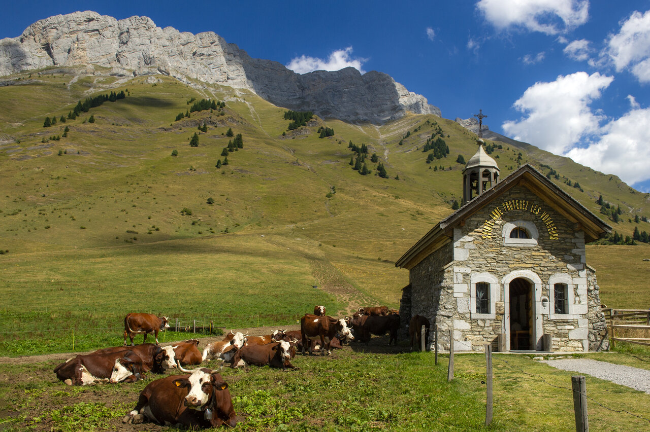 Chapelle de montagne, vaches, paysage alpin au CAPFUN Plan du Fernuy � LA CLUSAZ (74).