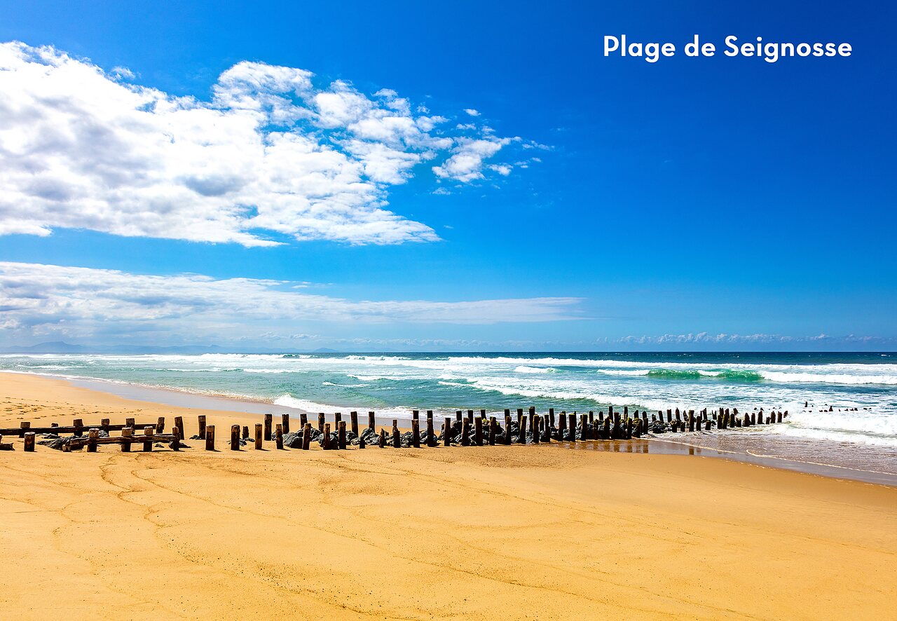 Plage de Seignosse avec ses �pis en bois, un lieu � visiter dans les Landes.