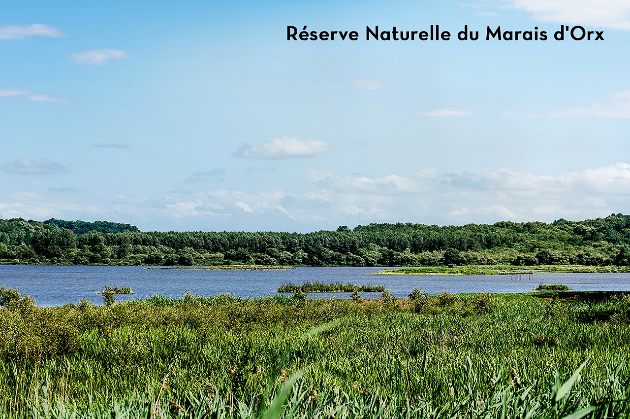 R�serve Naturelle du Marais d'Orx, lieu � visiter pr�s de Saubion.