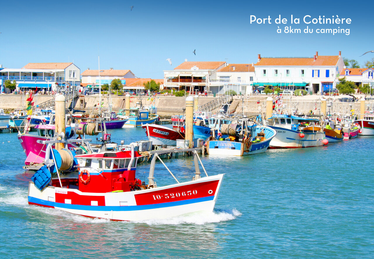 Port de la Cotini�re, charmant village de p�cheurs � visiter pr�s du camping.