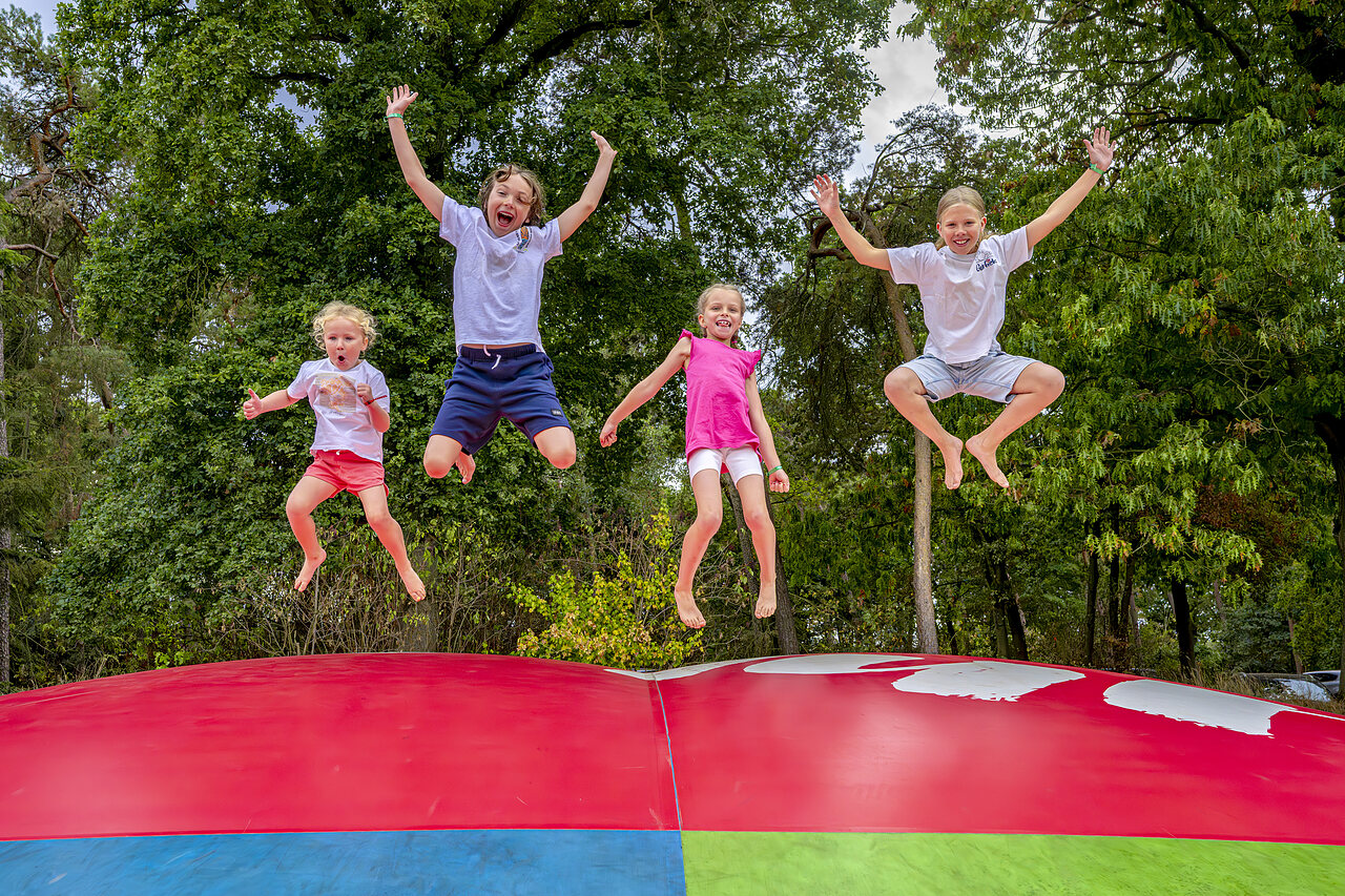 Enfants joyeux sautant sur le coussin gonflable g�ant au camping CAPFUN Rakelbos � Westelbeers.