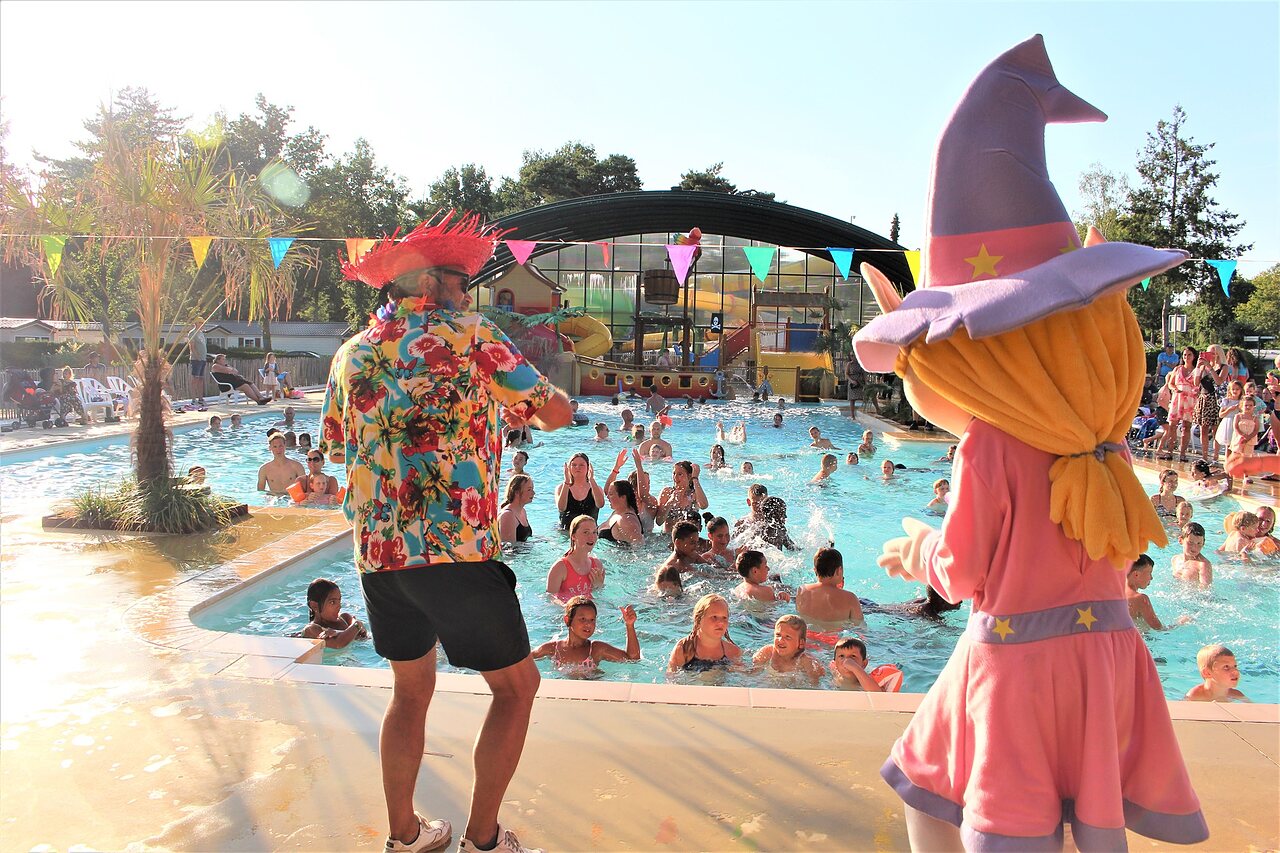 Animation festive et baignade dans la piscine du camping CAPFUN Rakelbos � Westelbeers.
