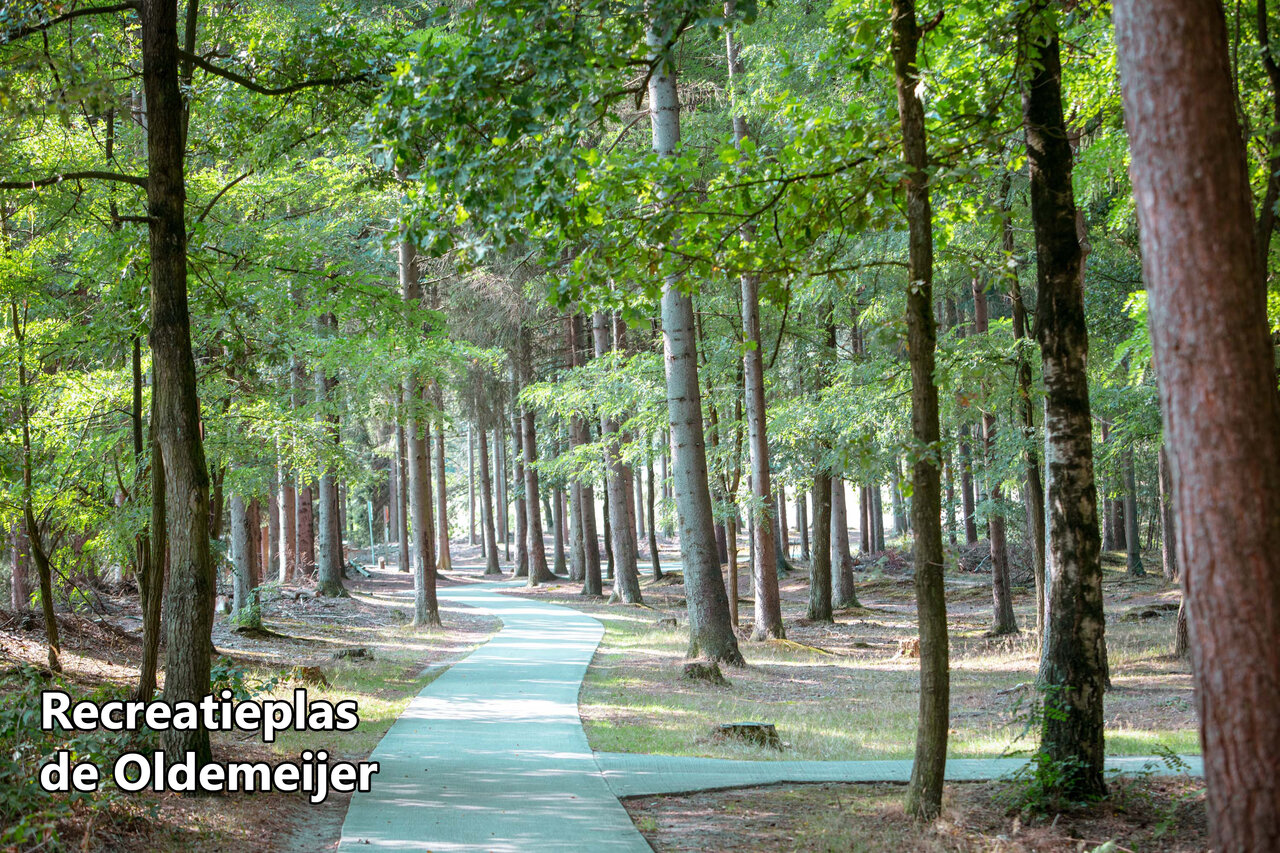 Sentier sinueux dans la for�t menant � Recreatieplas de Oldemeijer, pr�s de Rheeze.