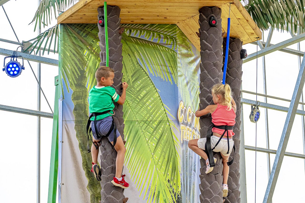 Enfants grimpant cocotiers au camping CAPFUN Vakantiepark Capfun het Stoetenslagh � Rheezerveen.