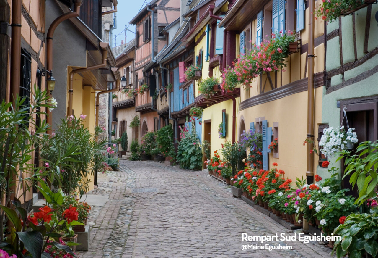 Rue pav�e fleurie et maisons color�es � colombages, Eguisheim, Alsace.