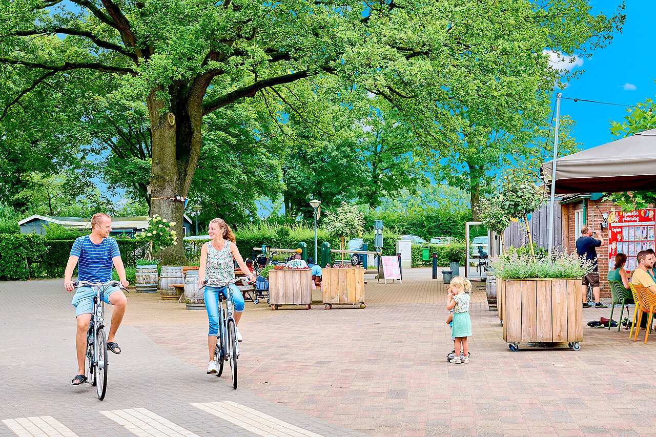 Couple � v�lo sur all�e verdoyante du camping CAPFUN Wieskamp � Winterswijk Henxel.