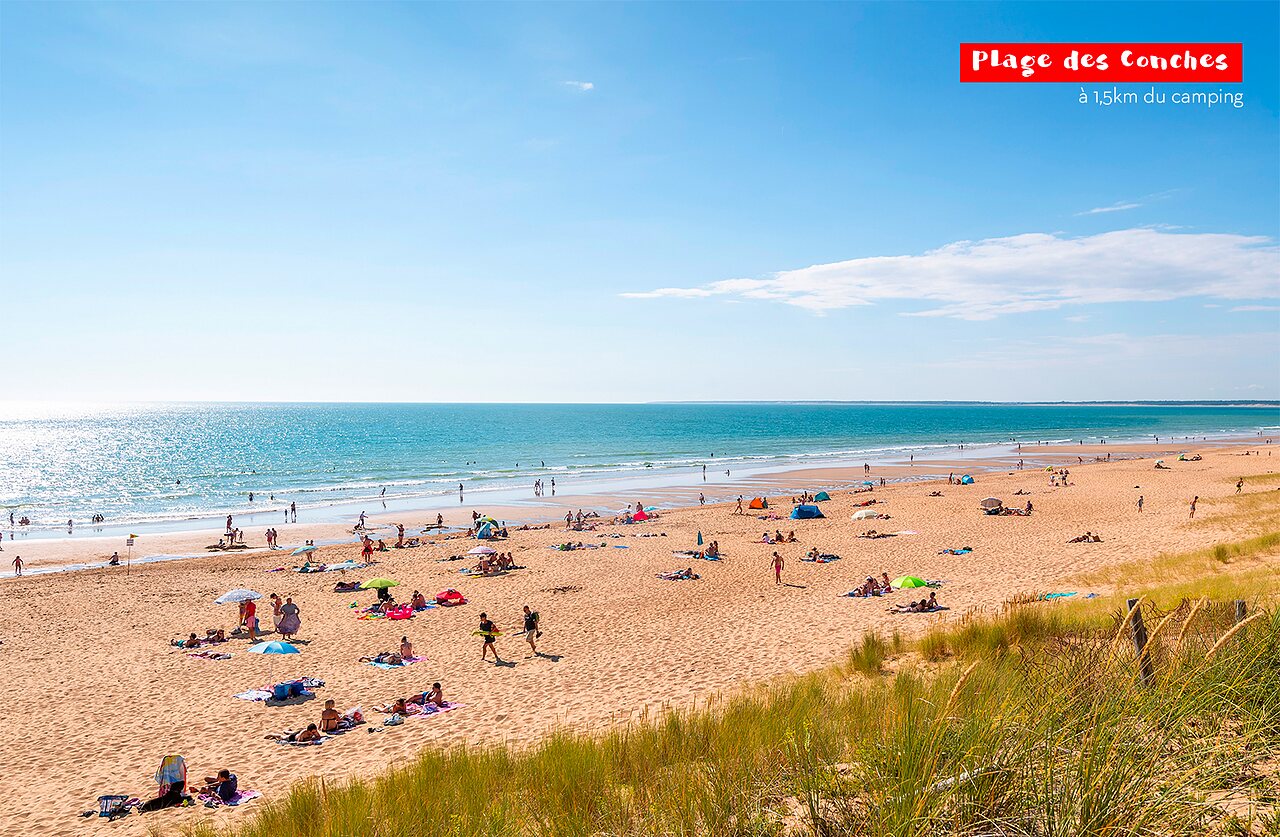 Plage des Conches, sable fin, baignade, camping CAPFUN Zagarella Longeville-sur-Mer (85).